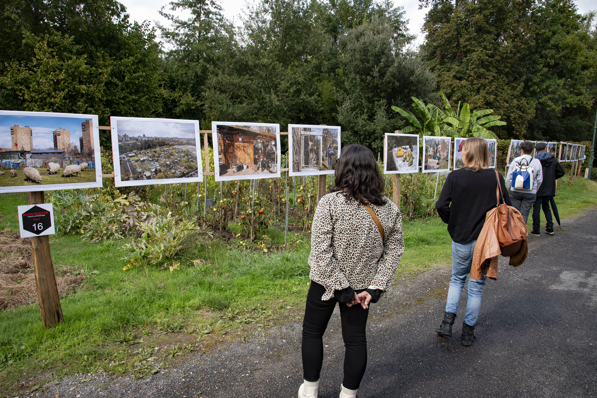 Exposition "pas de JO dans mon jardin" de Olivier Donnars