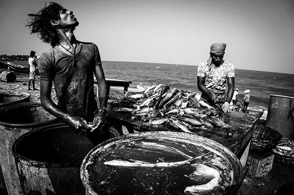 Laurent Blandin – Sri Lanka – La mer comme quotidien
