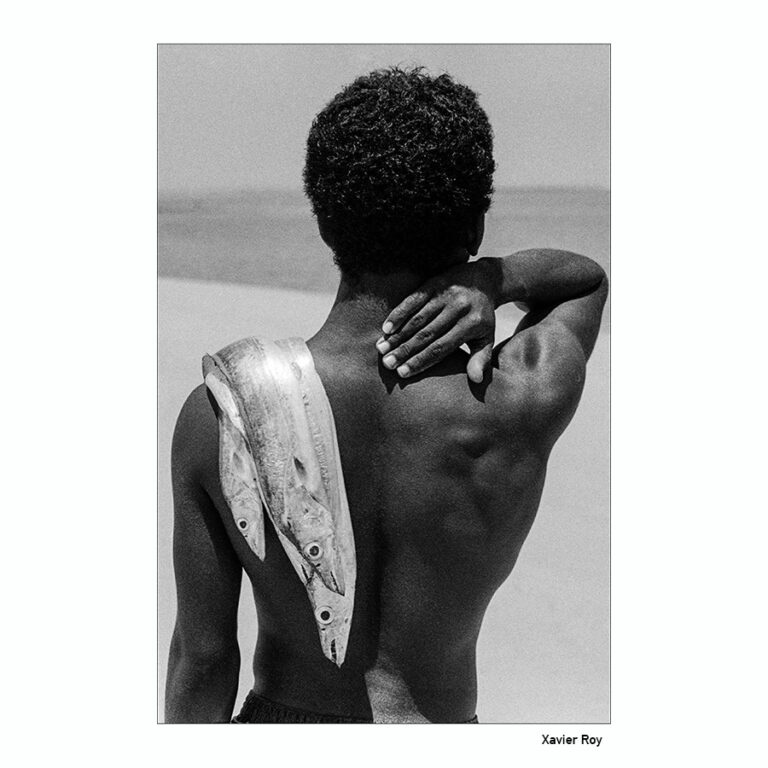 Xavier Roy _ Instants d’ailleurs