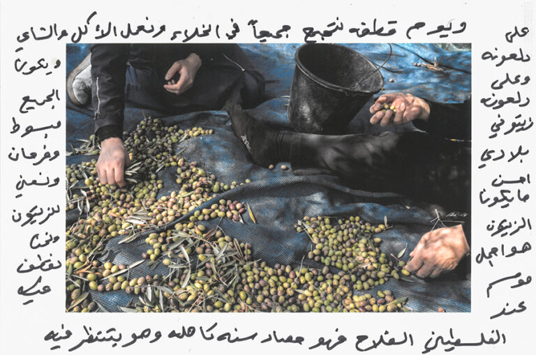 Alisse Victorine _ Nous resterons ici tant qu’il y aura du thym et des olives