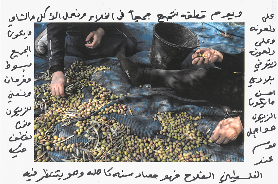 Alisse Victorine _ Nous resterons ici tant qu’il y aura du thym et des olives